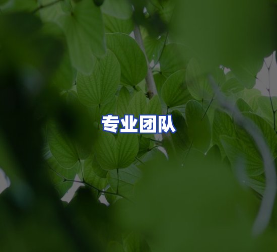 现代化仓储中心